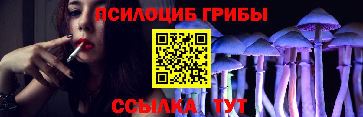 Нефтеюганск  Галлюциногенные грибы мицелий  Вход с VPN 